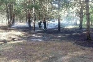 В Николаевской области фиксируют масштабные пожары на открытых территориях