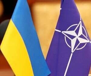 Климпуш-Цинцадзе рассказала, с какой целью Украина хочет вступить в НАТО