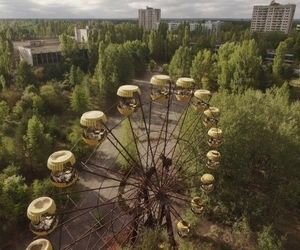 Япония и Украина проведут уникальные исследования в Чернобыльской зоне