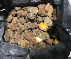 СБУ предотвратила вывоз из Украины более 30 кг янтаря
