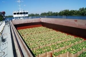 Путешествие херсонских арбузов: Баржа причалила в Переяслав-Хмельницком
