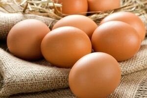 Госпродпотребслужба: В Украине нет яиц, зараженных фипронилом