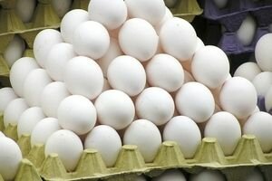 В Венгрии обнаружили яйца, зараженные фипронилом