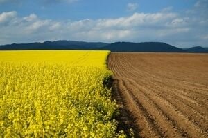 Украинцам откроют доступ к информации о всех сделках с землей