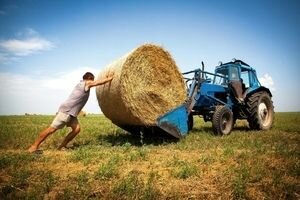 Правительство все-таки добралось до украинских фермеров