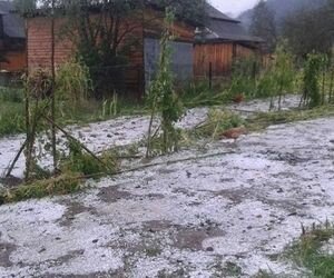 Зима уже близко: в сети опубликовали видео первого снега на Прикарпатье