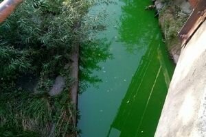 В Киеве речка Лыбидь окрасилась в ярко-зеленый цвет