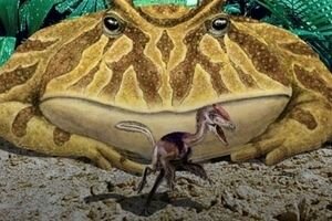 Ученые доказали существование гигантской лягушки, которая пожирала динозавров