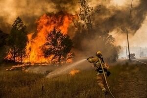 Лесные пожары в Калифорнии унесли жизни почти 20 человек: объявлен режим стихийного бедствия