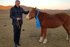 Главе НОК Украины в Монголии подарили двух лошадей, названных в его честь