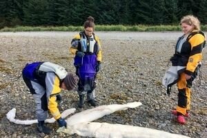 Шокирующая находка на Аляске: рыбак обнаружил странное существо, похожее на печень (фото)