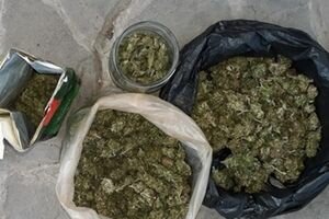 Полицейские Запорожья изъяли у мужчины марихуаны на 200 тысяч грн