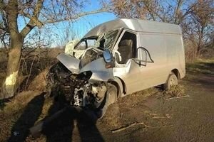 В Николаевской области микроавтобус слетел в кювет, погибла женщина (фото)