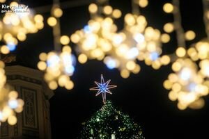 Кличко назвал реальную стоимость новогодней елки для Киева