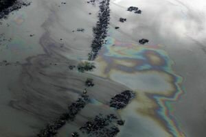 Возле Борислава река покрылась огромными нефтяными пятнами: названа причина