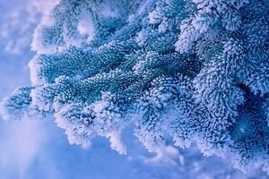 Синоптик рассказала, когда в Украину придут морозы и где выпадет снег