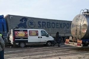 На трассе Киев-Чоп в аварии погибла цирковая лошадь