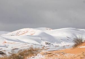 Сахару вновь замело снегом: завораживающие фото