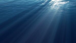Каждый, кто заплывет, обречен умереть: ученые обнаружили губительное озеро в Мексиканском заливе