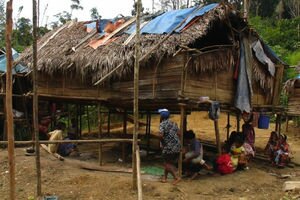 Ученые открыли уникальный язык в малазийской деревне