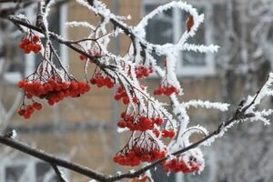 Погода в Украине: синоптик предупредила о похолодании