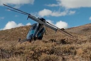В США лось сбил вертолет