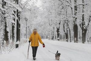 Зима не отступает: в Украину идут 15-градусные морозы