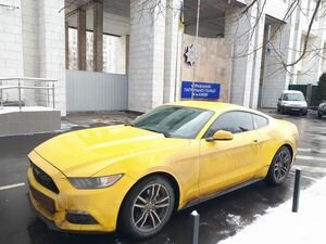 Только вернули права: водителя Mustang оштрафовали за нарушение ПДД под носом у патрульных (фото)