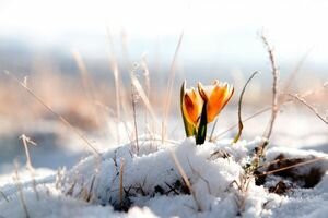 Кульбида рассказал, какая погода будет в Украине в первый день весны 