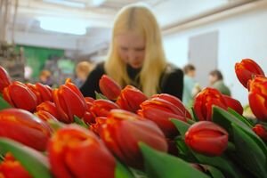 Пощадить 8 Марта: нужен ли Украине Международный женский день?