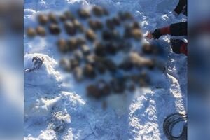 В России на берегу реки рыбаки нашли десятки отрубленных человеческих конечностей