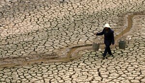 ООН: К 2050 году от нехватки воды могут страдать 5 млрд людей
