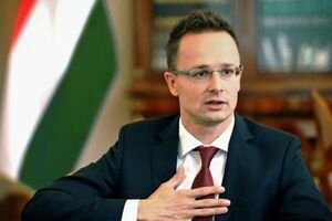 В МИД Венгрии призвали Украину отложить реализацию скандального закона об образовании до 2023 года