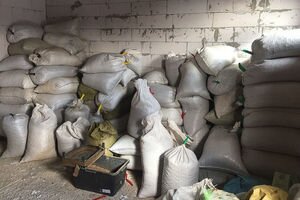 СБУ нашла и изъяла три тонны необработанного янтаря в Житомирской области