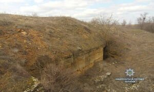 В Николаевской области посреди степи нашли "схрон" с боеприпасами