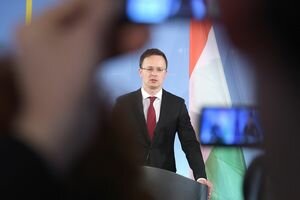 "Подло наступают на права нацменьшинств": Венгрия раскритиковала инициативу Порошенко о лишении гражданства