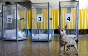 Выборы в общинах: полиция открыла 19 уголовных производств по нарушениям