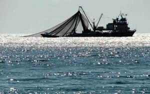 Задержание украинского судна в Черном море: МИД направило России ноту протеста