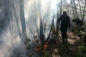В Киеве возник пожар на Трухановом острове