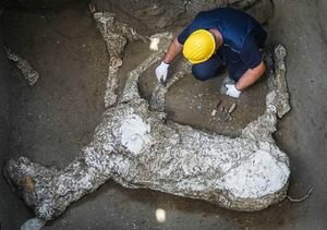 В Помпеях археологи обнаружили редкие останки животных 