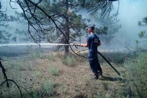 В Херсонской области лесной пожар продолжают тушить самолетами и вертолетом