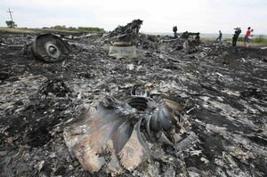 Нидерланды поддержали решение признать Россию ответственной за крушение рейса МН17