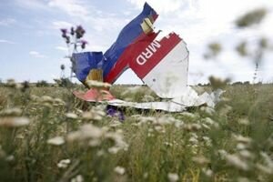 В минтранспорта Малайзии заявили, что доказательств вины России в катастрофе MH17 недостаточно