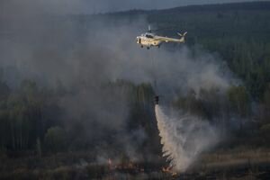 ГСЧС: В Чернобыле ликвидировали лесной пожар