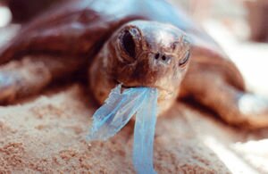В Австралии запретили использование пакетов из пластика и назначили штрафы