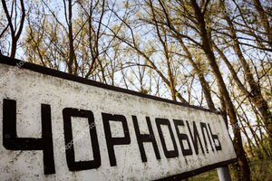 Полиция задержала мужчину, собиравшего чернику в Чернобыльской зоне 