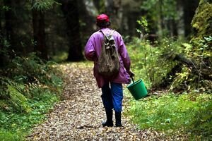 На Закарпатье в лесу заблудилась отдыхающая в местном санатории пенсионерка