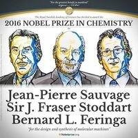 Сразу трое ученых получили Нобелевскую премию по химии