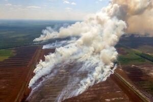 Лесные пожары бушуют и в Латвии: власти запросят помощи в тушении стихии у Евросоюза