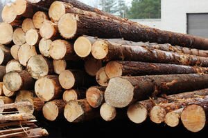 Австрия призвала Украину отменить запрет на экспорт леса